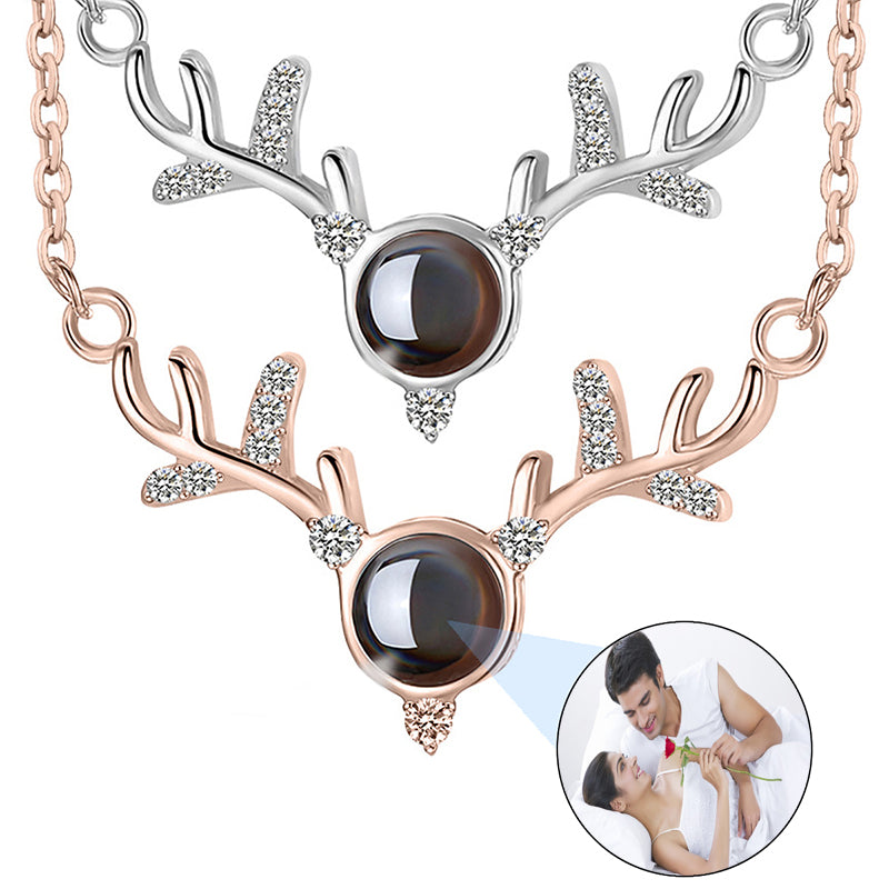 Funnylife Personalized Pet Urn Necklaces for Dog Cat Ashes Custom Photo Text Stainless Steel Cremation Jewelry Pet Loss Memorial Gift